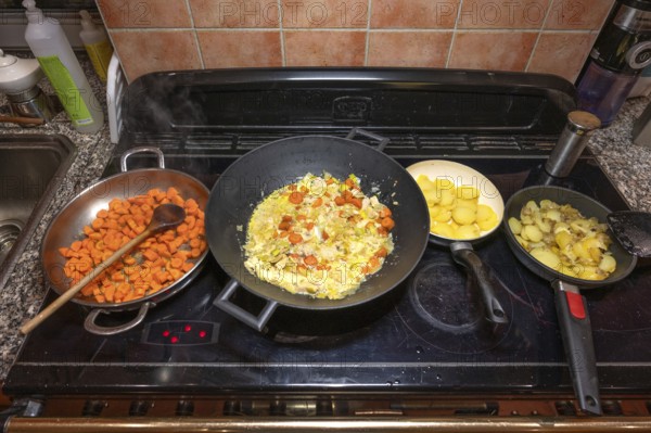 Pans with various vegetables on the cooker, Bavaria, Germany, Europe