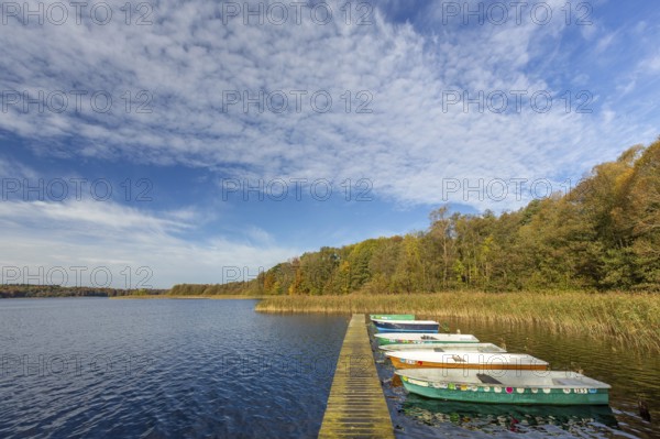 Wooden jetty with rowing boats at lake Schaalsee in autumn, fall, Biosphärenreservat Schaalsee, Schleswig-Holstein, Germany, Europe