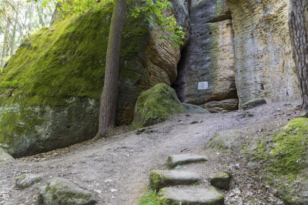 Rocky landscape at the Diebskeller or Götzinger Cave at the Kleiner Bärenstein, Thürmsdorf, Struppen, Saxon Switzerland, Saxony, Germany, Europe