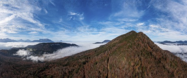 Drone shot, autumn forest and sea of fog around the Schwarzenberg, Puch near Hallein, Osterhorn group, Salzkammergut, Salzburg province, Austria, Europe