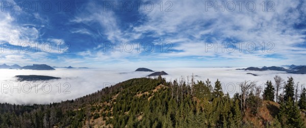 Drone shot, view from Schwarzenberg to a sea of fog in the Salzach valley, Osterhorn group, Salzkammergut, Salzburg province, Austria, Europe