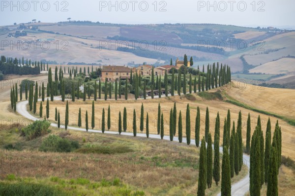 Typical Tuscan landscape in Crete Senesi with hills, trees, fields, cypresses and farm road in autumn, sunrise, Agriturismo Baccoleno, UNESCO World Heritage Site, Siena Province, Tuscany, Italy, Europe