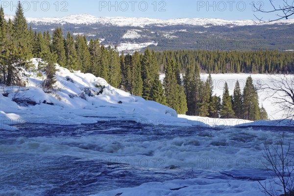 Snowy landscape with a river surrounded by trees and mountains in the background, winter, Sweden's highest waterfall, Tännforsen, Åreälven, Are, Jämtland, Sweden, Europe