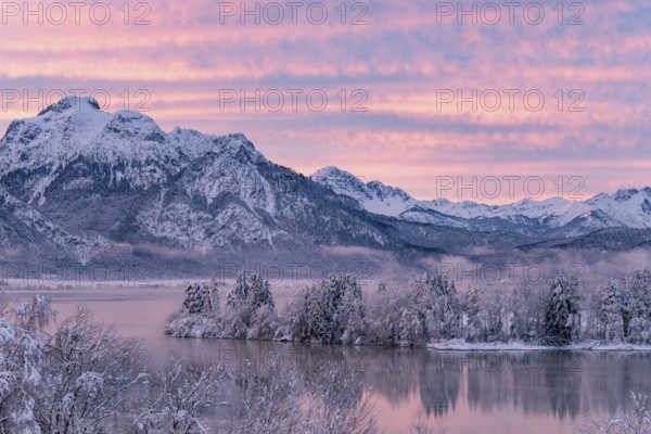 Dawn and sunrise at the wintry Forggensee in a snow-covered winter landscape in the foothills of the Alps in the Allgäu in Bavaria, Germany, Europe
