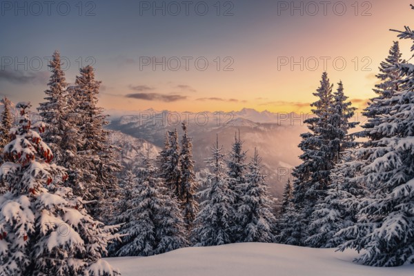 A Winter Wonder Land sunset hiking tour in the snow on the Edelsberg near Nesselwang in the Allgäu in Bavaria, Germany, Europe