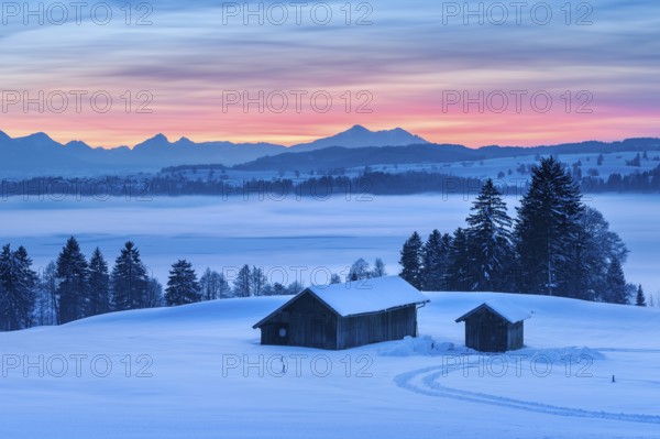 Sunset in the Allgäu in winter, view at sunset over the Forggensee with fog, in front two barns in deep snow, behind the Allgäu Alps, Schwangau, Allgäu, Bavaria, Germany, Europe