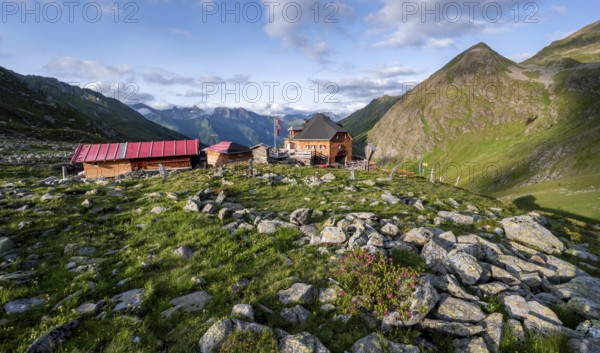 Mountain hut Lasörlinghütte in the evening light, mountain landscape with alpine roses, Lasörlinggruppe, Hohe Tauern, East Tyrol, Tyrol, Austria, Europe