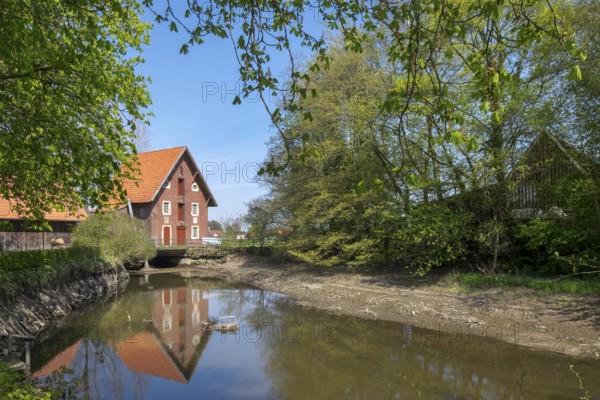 Düstermühle on the river Dinkel, watermill, Legden, district of Wehr, Münsterland, North Rhine-Westphalia, Germany, Europe