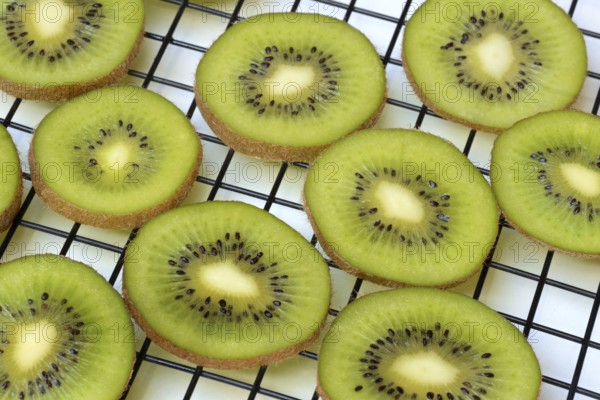 Kiwi slices laid out on a wire rack to dry, Actinidia deliciosa