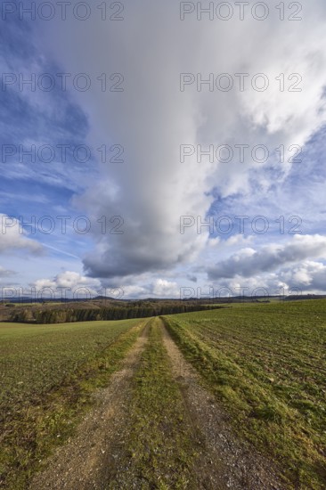 Agriculture, fields, hilly landscape, coniferous forest, landscape, landscape photography, blue sky, cumulus clouds, cirrostratus clouds, dirt road, Dreis-Brück, Eifel, Vulkaneifel district, Rhineland-Palatinate, Germany, Europe