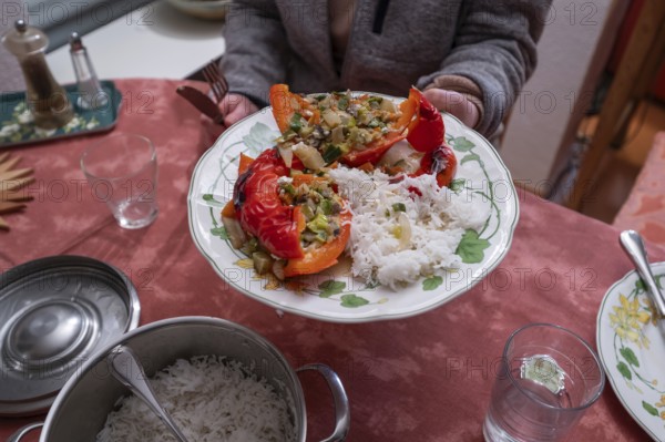 Stuffed peppers with vegetables and rice on a plate, Bavaria, Germany, Europe