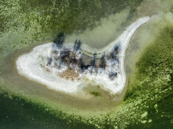 Aerial photograph, top down view of the Liebesinsel, near the Mettnau peninsula, Radolfzell on Lake Constance, district of Constance, Baden-Württemberg, Germany, Europe
