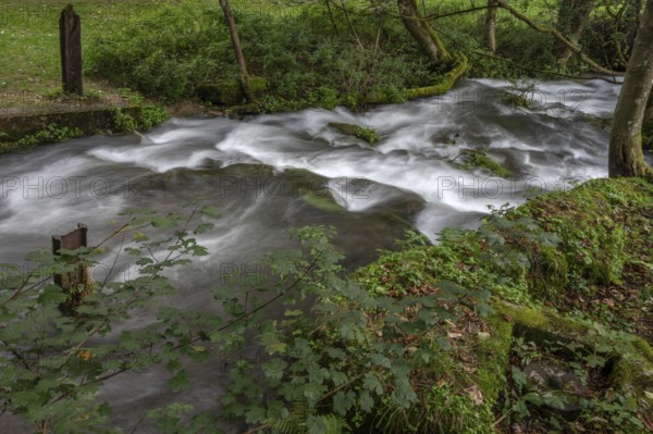 Rapids of the Trubach, Trubach Valley, Egloffstein, Upper Franconia, Bavaria, Germany, Europe