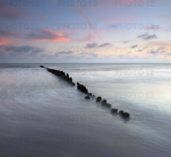 Sunset on the beach, old groyne in the surf, Klintholm Havn, Møn Island, Denmark, Europe