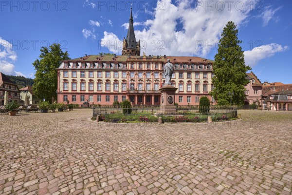 Monument to Count Franz, Erbach Castle, trees, cobblestones, blue sky with cumulus clouds, market square, Erbach, Odenwald, Odenwaldkreis, Hesse, Germany, Europe
