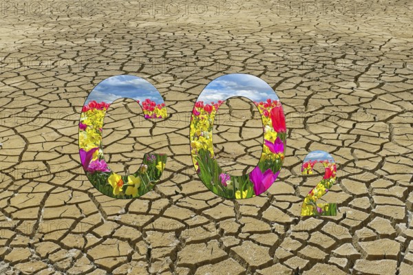 Symbolic image, carbon dioxide CO2, climate protection, climate change, world worth living in, nature conservation, biodiversity, species extinction, industrial emissions, ecosystem diversity, drought, heat, crop failures, drought disasters, famine worldwide, water shortages, floods, heat records, melting ice, desertification
