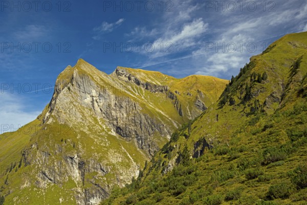 Mt. Himmelseck, Oberstdorf, Allgaeu Alps, Allgaeu, Bavaria, Germany, Europe
