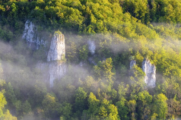 Limestone cliff tops between mixed forest, fog, band rocks, Leibertingen, Upper Danube nature park Park, Baden-Württemberg, Germany, Europe