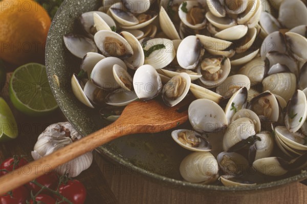 Cooking, vongole clams, in a pan with spices and white wine, top view, no people