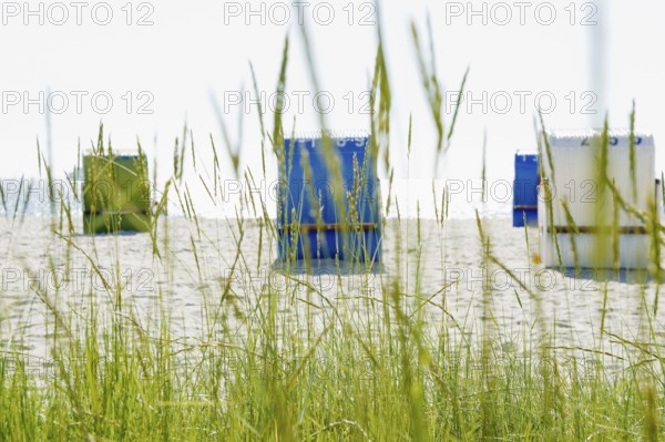 Colourful beach chairs, Föhr, North Frisian Islands, North Frisia, Schleswig-Holstein, Germany, Europe