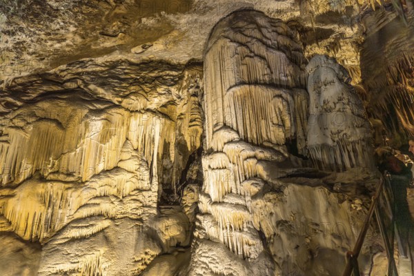 Illuminating the magnificent stalactites and stalagmites within postojna cave, showcasing nature's artistry