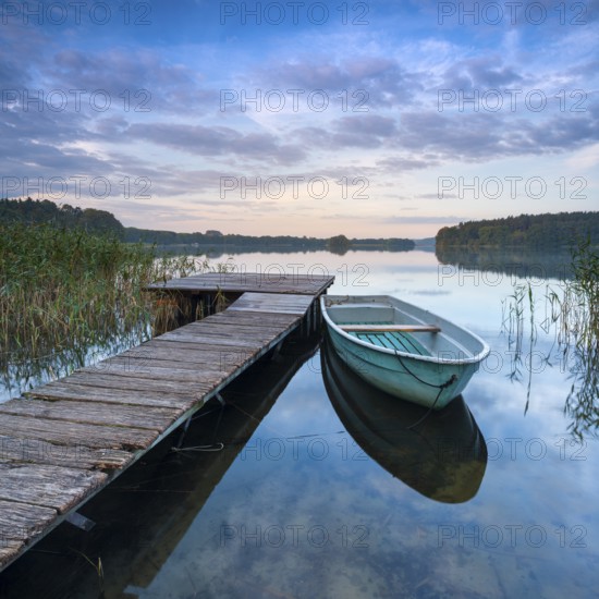 Morning atmosphere at the lake, wooden jetty with rowing boat in the reeds, Breiter Luzin, Feldberger Seenlandschaft, Mecklenburg-Vorpommern, Germany, Europe