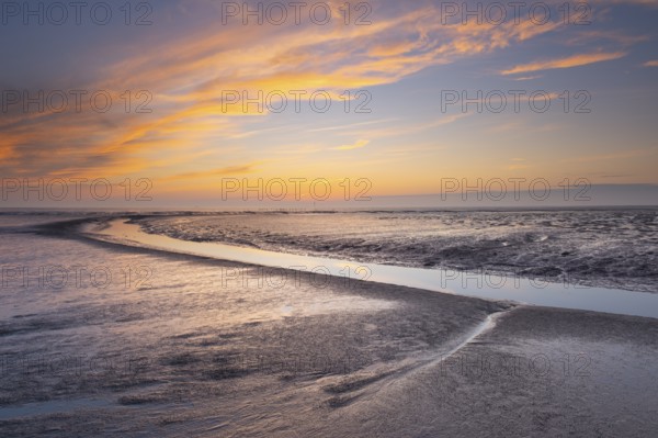 View of a tidal flat in the Wadden Sea at low tide at sunset, National Park, Unesco, World Natural Heritage, World Heritage, Lower Saxony, Wadden Sea, Cuxhaven, Lower Saxony, Germany, Europe