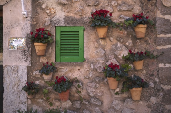 Flower pots on the wall, alleyway of plants, alley, Valldemossa, Tramuntana Mountains, Serra de Tramuntana, Majorca, Balearic Islands, Balearic Islands, Spain, Europe