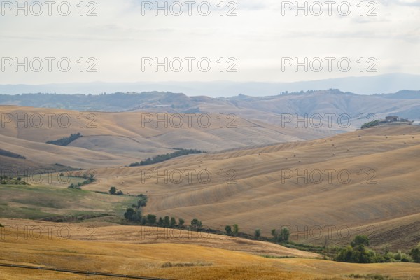Typical Tuscan landscape in Crete Senesi with hills, trees, fields, cypresses and farm road in summer, Tuscany, Italy, Europe