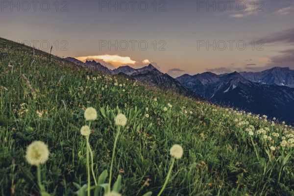 Hiking tour on the Hönig mountain in the Lechtal valley near Berwang in Tyrol, Austria, Europe