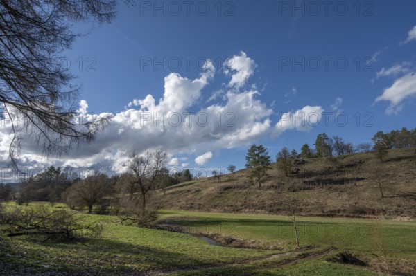 Franconian landscape with bare trees in February, Thuisbrunn, Upper Franconia, Bavaria, Germany, Europe