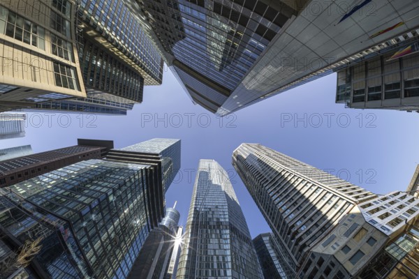 The towers of Frankfurt's banking skyline rise into the sky, Frankfurt am Main, Hesse, Germany, Europe