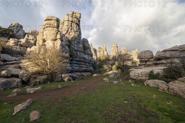 Bizarre limestone rock formations, El Torcal nature reserve, Torcal de Antequera, Malaga province, Andalusia, Spain, Europe