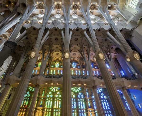 Interior of the Sagrada Família, Church of the Atonement of the Holy Family, architect Antoni Gaudí, Barcelona, Catalonia, Spain, Europe