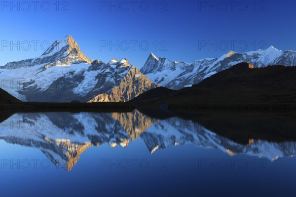 Bachalpsee, Schreckhorn, 4078 m, Finsteraarhorn, 4274 m, Bernese Oberland, Switzerland, Europe