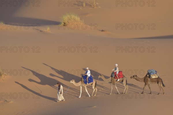 Tourists riding on camels in the dunes, Great Sand Sea, Sahara, Merzouga, Meknès-Tafilalet region, Morocco, Africa