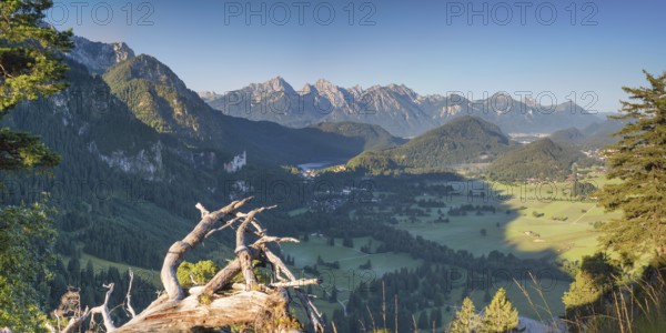 Neuschwanstein Castle, Hohenschwangau near Füssen, Ostallgäu, Allgäu, Bavaria, Germany, Europe