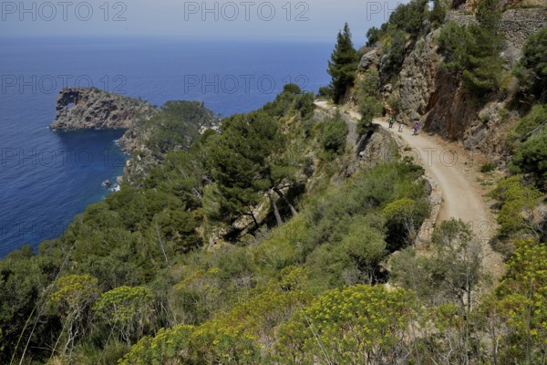 Sa Foradada peninsula with rock structure, between Deià and Valldemossa, Majorca, Balearic Islands, Spain, Europe