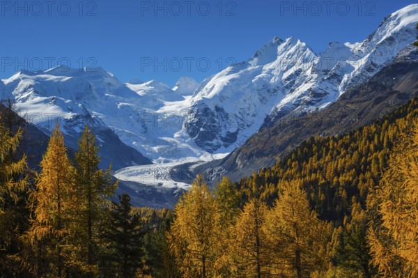 Piz Palü, 3905 m, Piz Bernina, 4049 m, Morteratsch glacier, Bianco ridge, Upper Engadine, Grisons, Switzerland, Europe