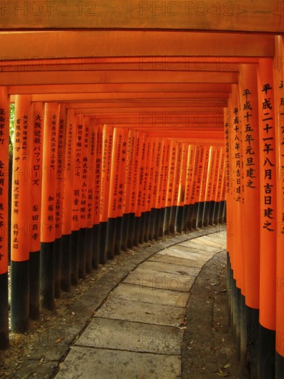Red Gates, Torii Gates, Avenue of Torii, Taisha, Kyoto, Tori, Fushimi Inari Shrine, Kyoto, Japan, Asia