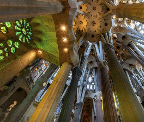 Interior of the Sagrada Família, Church of the Atonement of the Holy Family, architect Antoni Gaudí, Barcelona, Catalonia, Spain, Europe