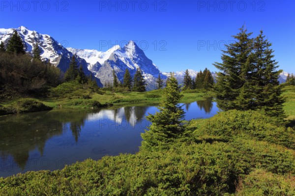 Eiger and Mönch, Bernese Oberland, Switzerland, Europe