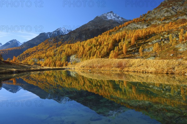 Grundsee in the Lötschental, Valais, Switzerland, Europe