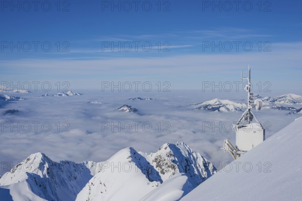 Mountain panorama in winter, snow-covered mountain peaks rise above cloud cover, view from Nebelhorn, 2224m, Allgäu Alps, Allgäu, Bavaria, Germany, Europe
