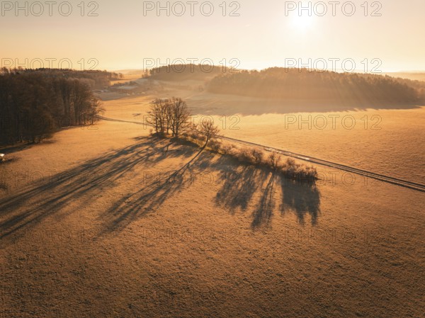 Early morning situation in a field with trees casting long shadows, Gechingen district of Calw, Black Forest, Germany, Europe