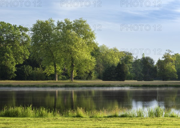 Morning atmosphere in Wörlitz Park, fog on the water, Garden Kingdom Dessau-Wörlitz, Wörlitz, Saxony-Anhalt Germany