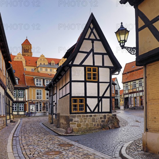 Half-timbered houses in Finkenherd with Schlossberg, alley in the old town centre of the World Heritage town of Quedlinburg, Saxony-Anhalt, Germany, Europe
