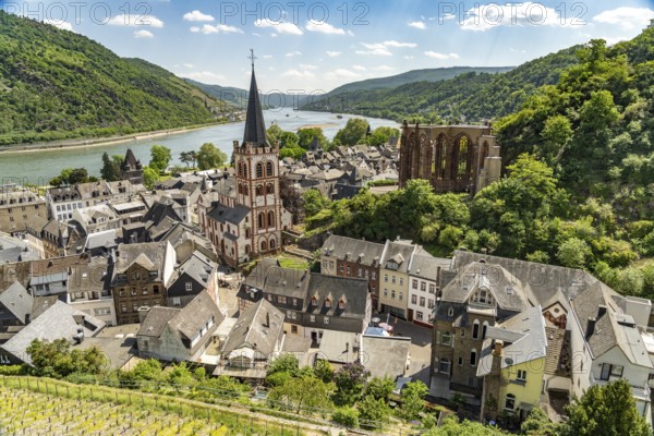 Bacharach with St Peter's Protestant Church, the ruins of the Gothic Werner Chapel and the Rhine seen from above, World Heritage Site Upper Middle Rhine Valley, Rhineland-Palatinate, Germany, Europe