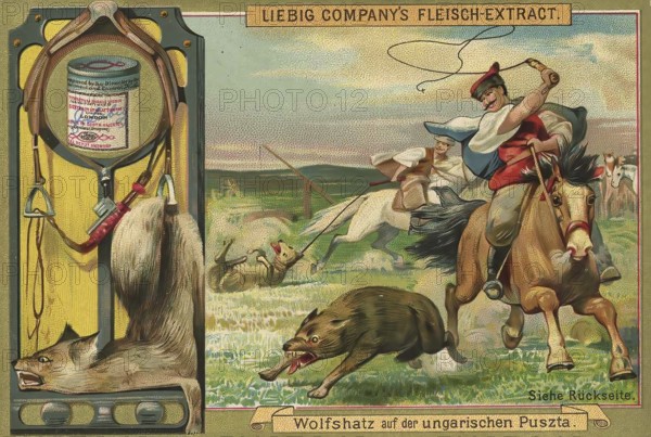 Picture series Hunting, wolf hunt, wolf hunt in the Hungarian Puszta, Liebig picture, digitally restored reproduction of a collector's picture from around 1900, public domain, exact date unknown, rider with dog chasing a wolf in the Hungarian Puszta