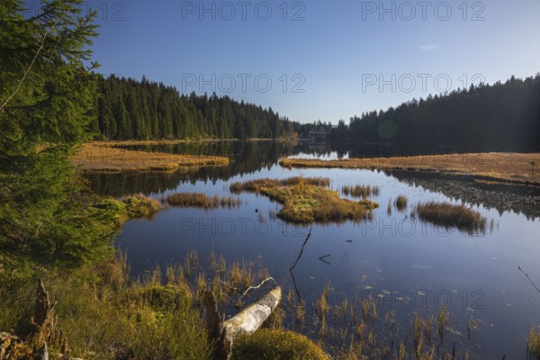 Lake Großer Arbersee in autumn. A floating mat is covering some parts of the lake